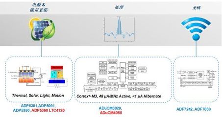 中国占据可穿戴市场半壁江山 数据处理驱动杀手级应用终极模式