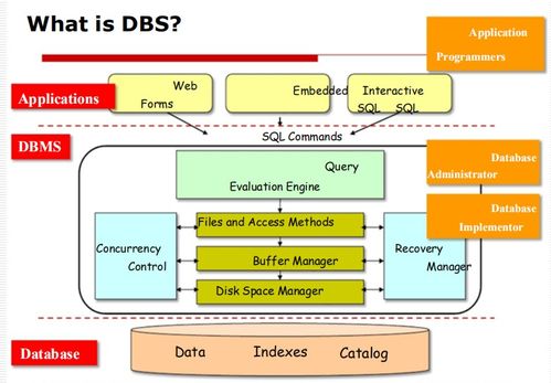 数据库管理系统（DBMS）入门 基础概念、目标与应用